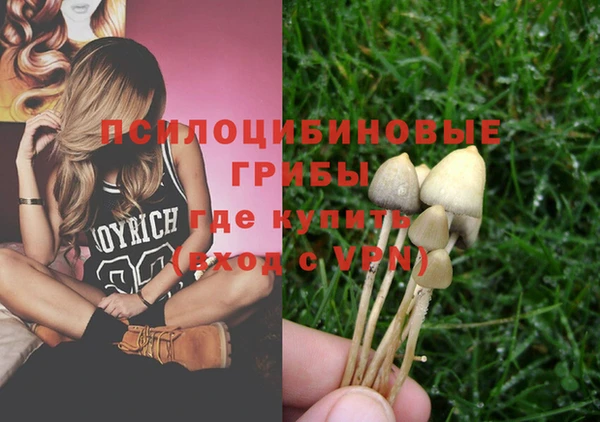 герыч Алзамай