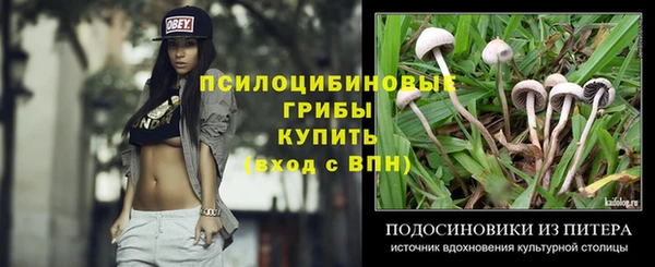 ECSTASY Алексеевка