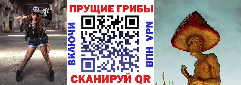 Галлюциногенные грибы Magic Shrooms  Донецк 